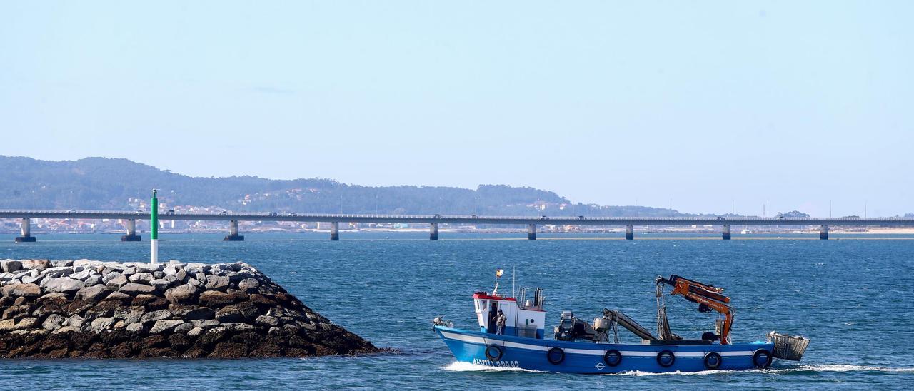Los barcos bateeiros navegan estos días vacíos, debido a aún débil estado del mejillón.