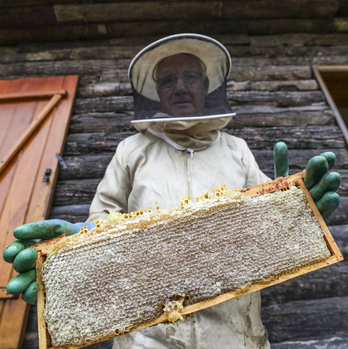 Escuela de apicultores en Cuyences