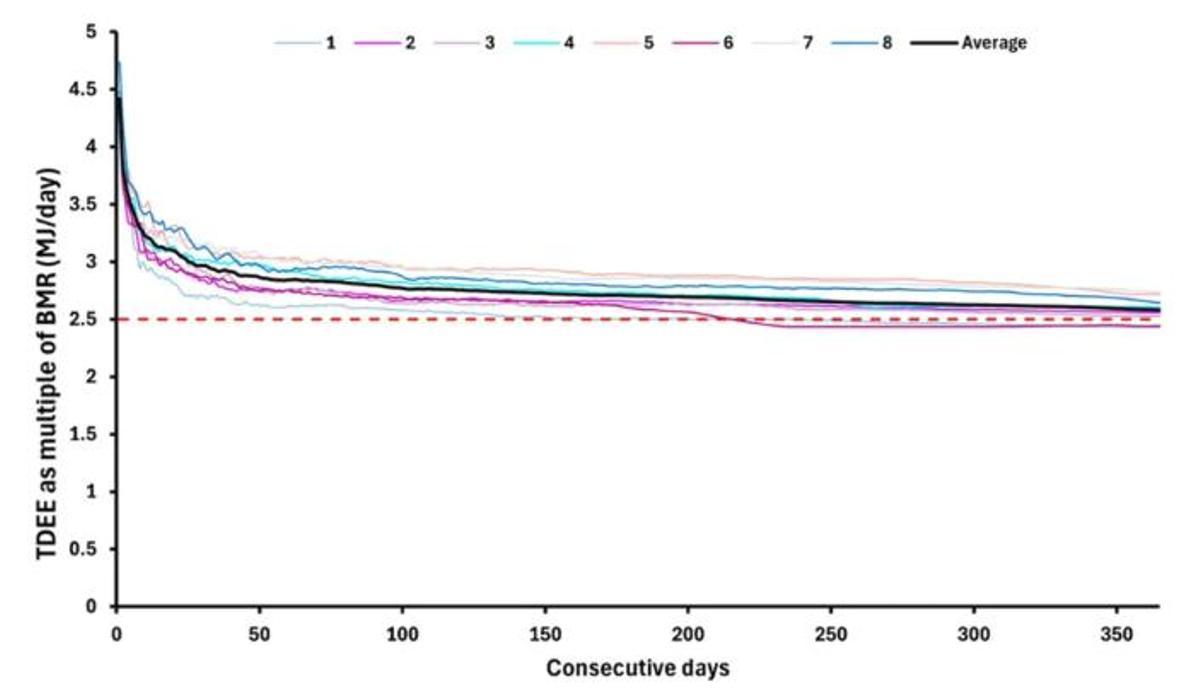 El concepto de gasto energético total diario