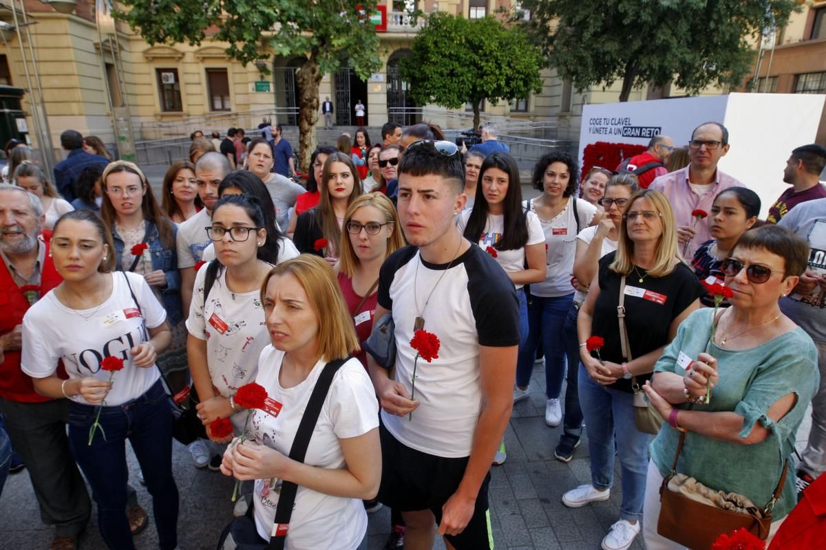 Claveles por el empleo