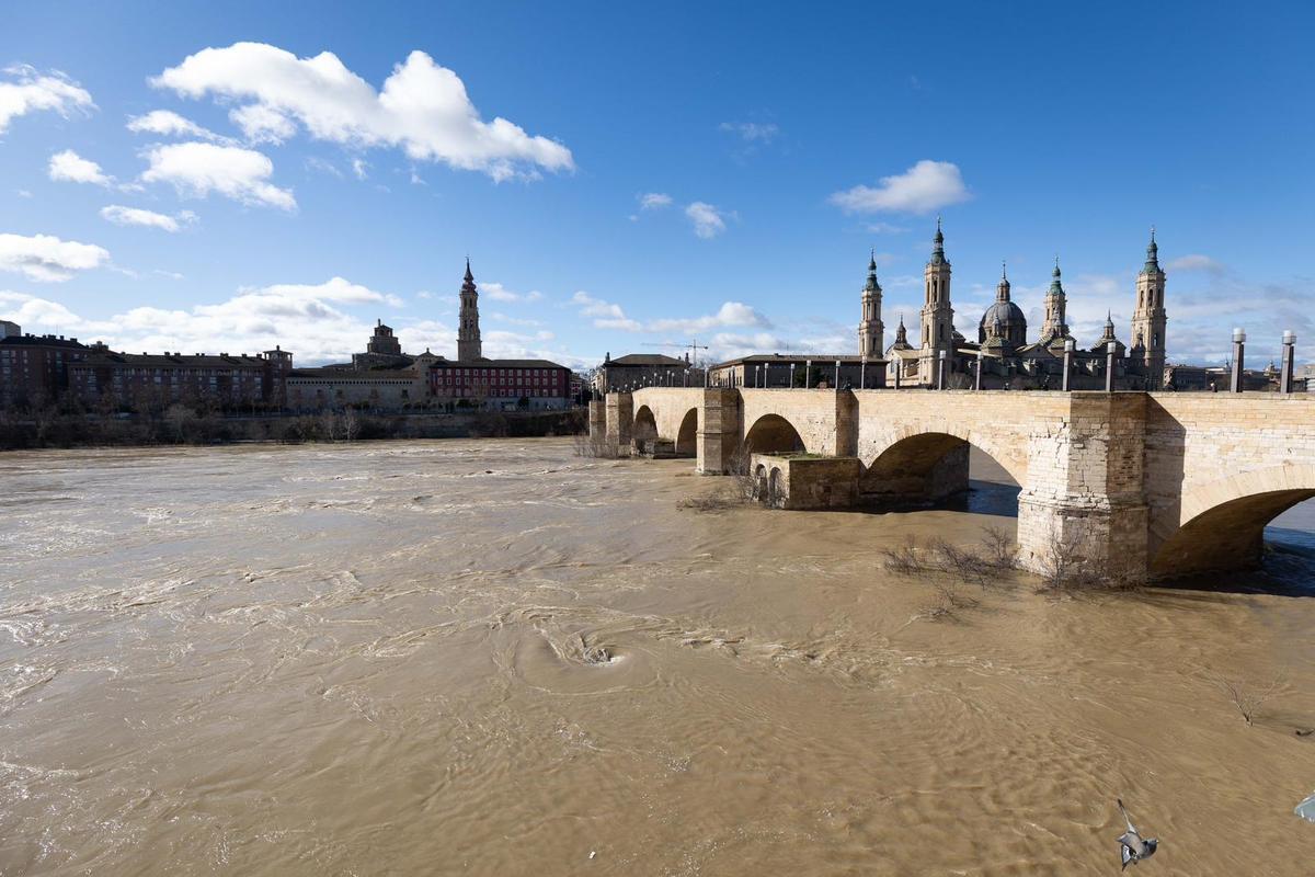 En imágenes I Árboles caídos en Zaragoza y parques cerrados por el viento
