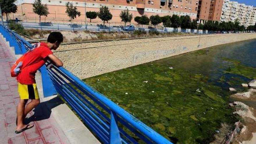 Un joven observa el agua embalsada en el tramo final del barranco, junto a las viviendas.