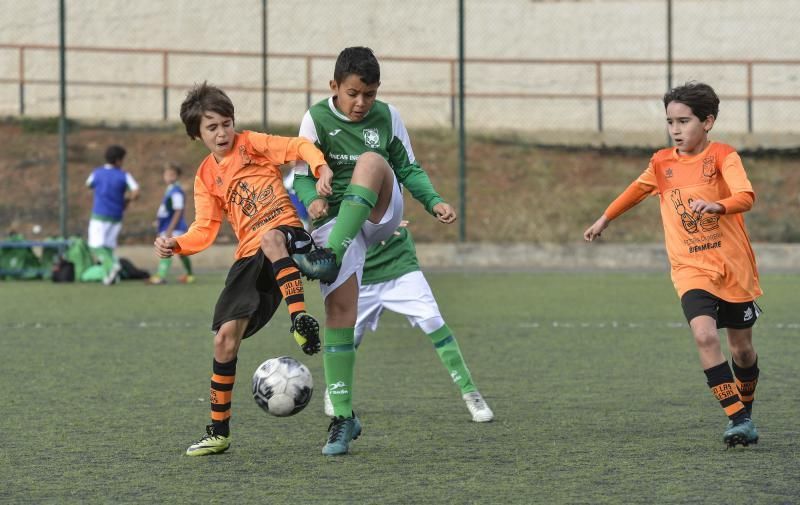 02/03/2019 LAS HUESAS, TELDE. Las Huesas - Estrella (benjamines). FOTO: J. PÉREZ CURBELO  | 02/03/2019 | Fotógrafo: José Pérez Curbelo