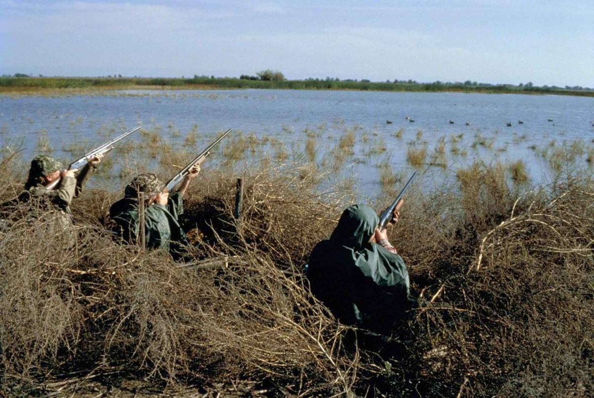 Cazadores en un humedal en Estados Unidos.