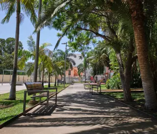 Vecinos piden restringir el acceso de perros al parque Secundino Delgado