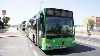 La línea 8 de autobús urbano de Cáceres se reforzará después de verano y llegará al Parque Empresarial Mejostilla