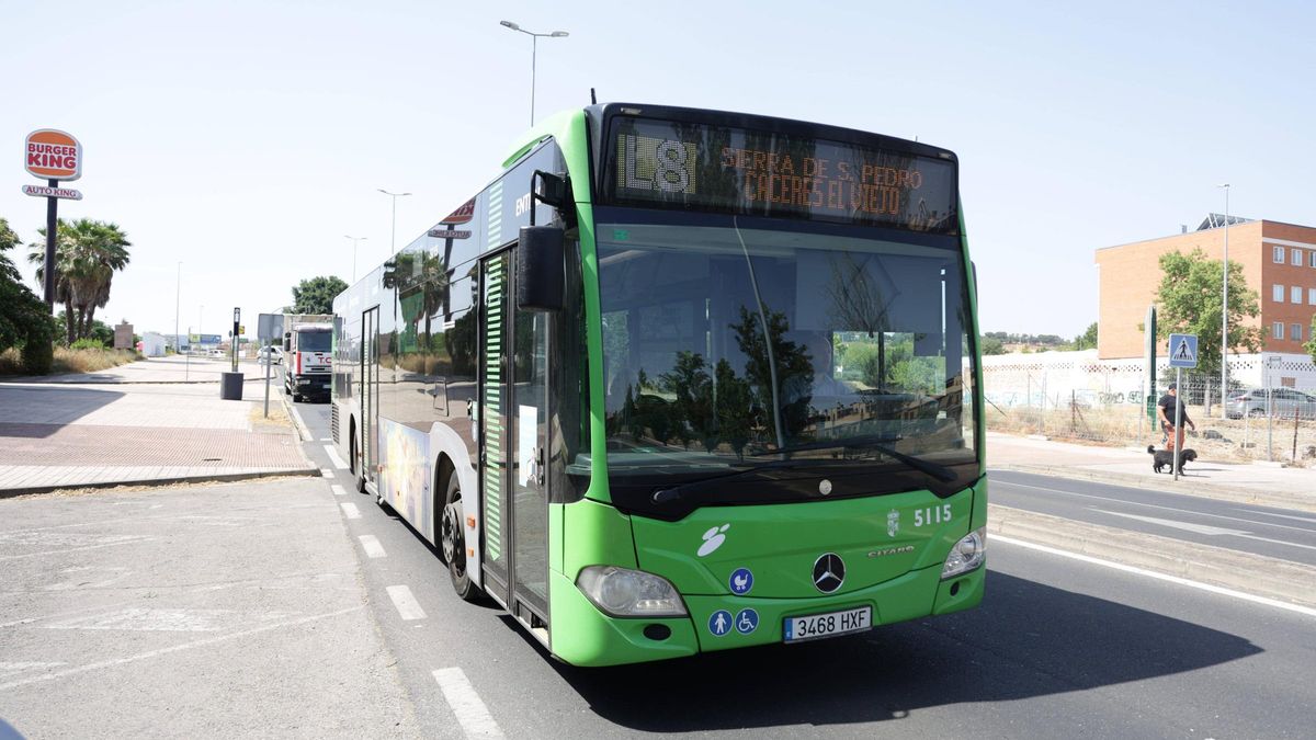 Autobús de la línea 8.