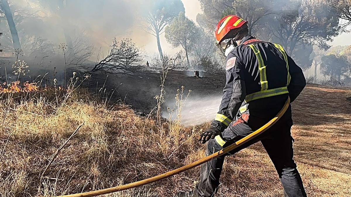 Estabilizado el incendio en el embalse de San Juan (Madrid)
