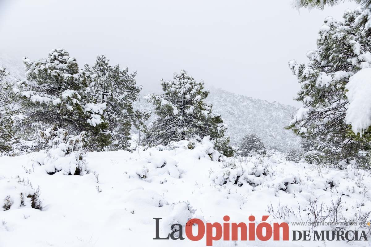 Continúa la nevada en las zonas altas de la comarca del Noroeste