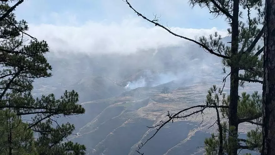 Conato de incendio en Fagajesto, en el municipio de Gáldar