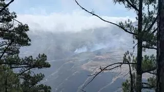 Un vehículo cae por un barranco en Fagajesto, en el norte de Gran Canaria, y provoca un conato de incendio