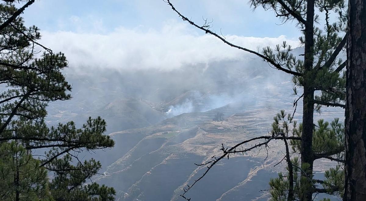 Conato de incendio tras el incendio de un vehículo en Fagajesto, en el municipio grancanario de Gáldar