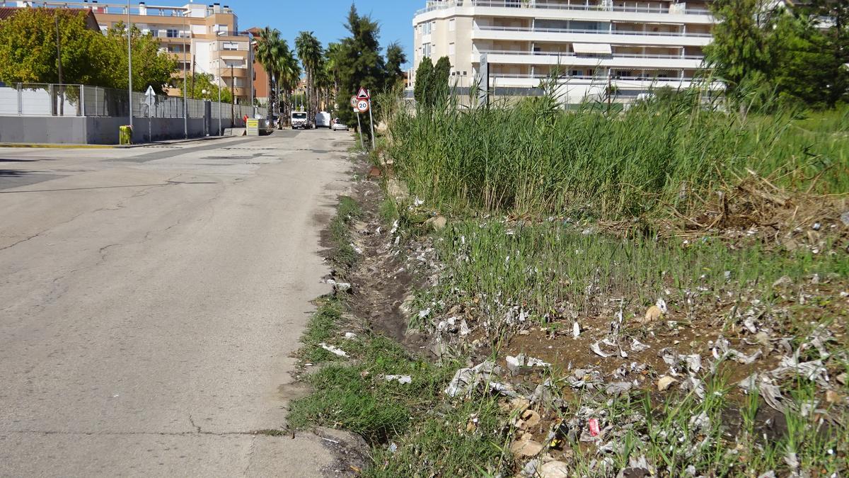 Toallitas en el margen del Camí del Llavador de Dénia