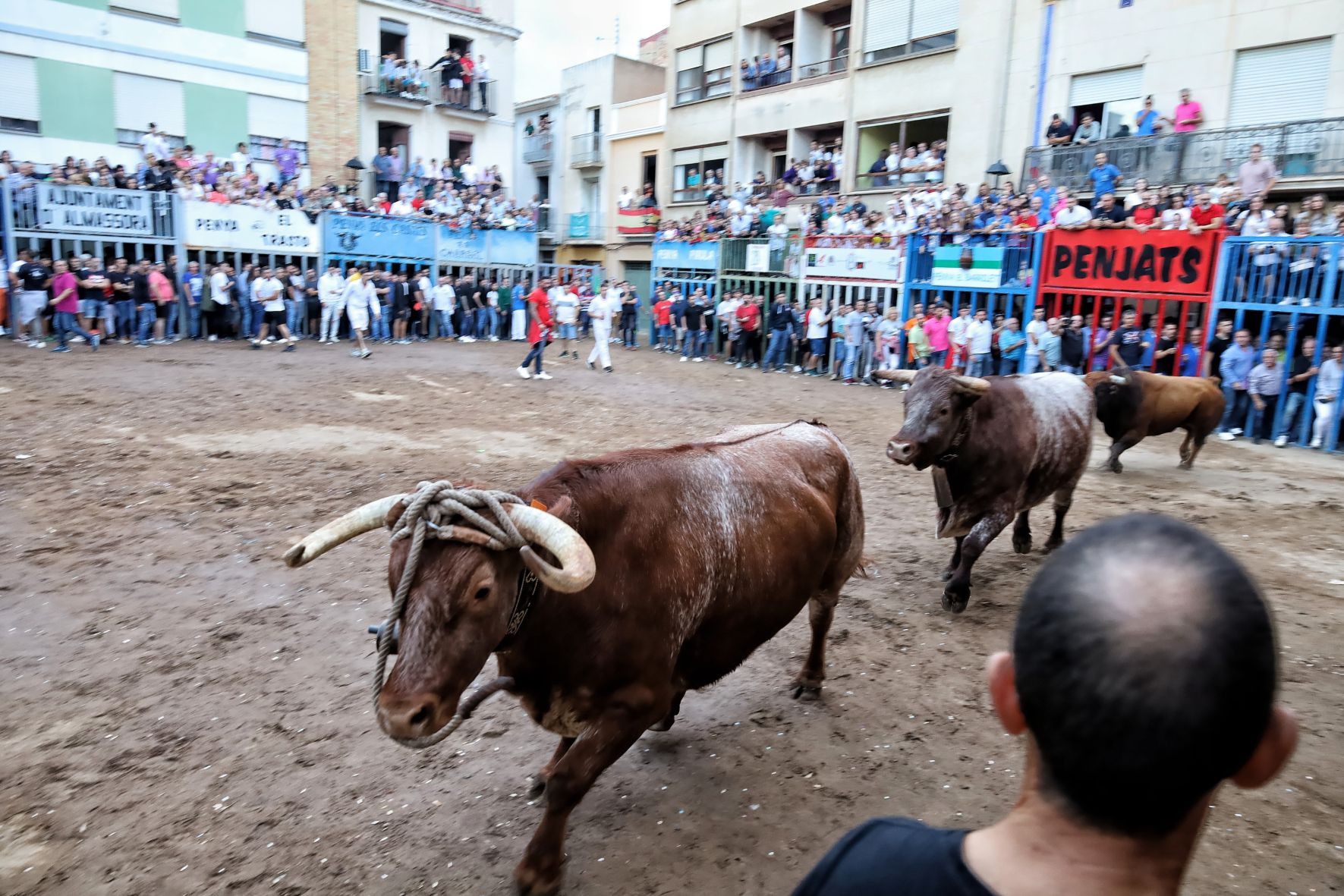 Las fotos de la tarde taurina del último sábado de fiestas de Almassora