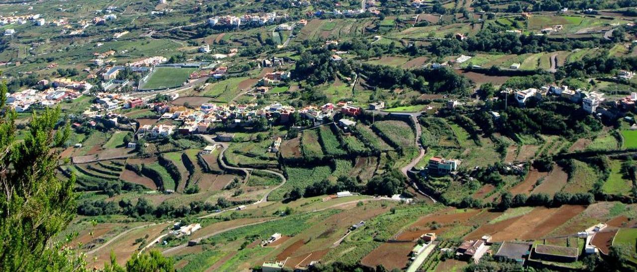 Zona agrícola de Los Realejos