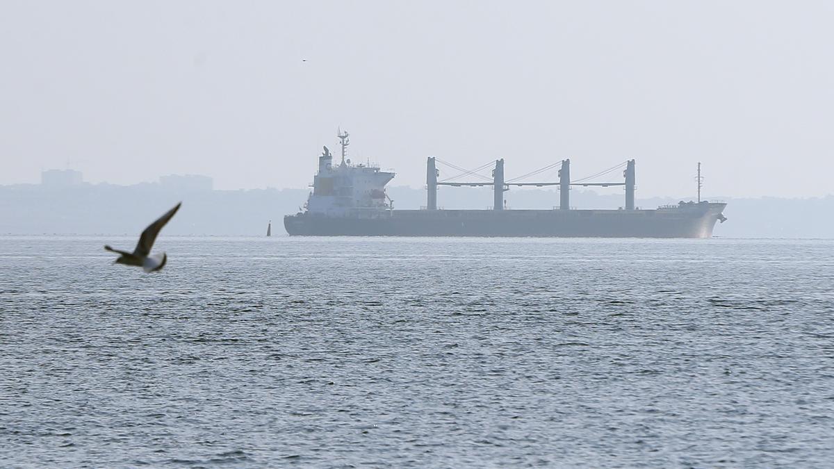 El buque que ha salido este viernes del puerto de Odesa cargado con grano.