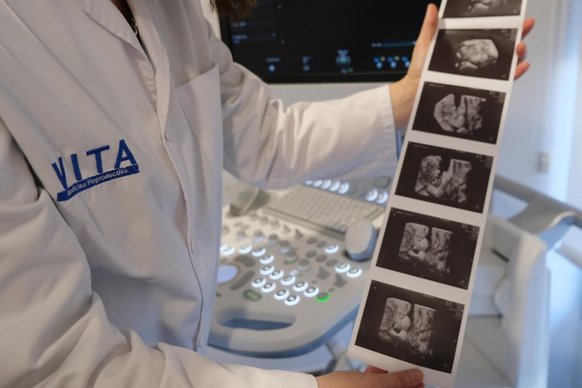 VITA refuerza con Witness su compromiso por una medicina reproductiva de vanguardia.
