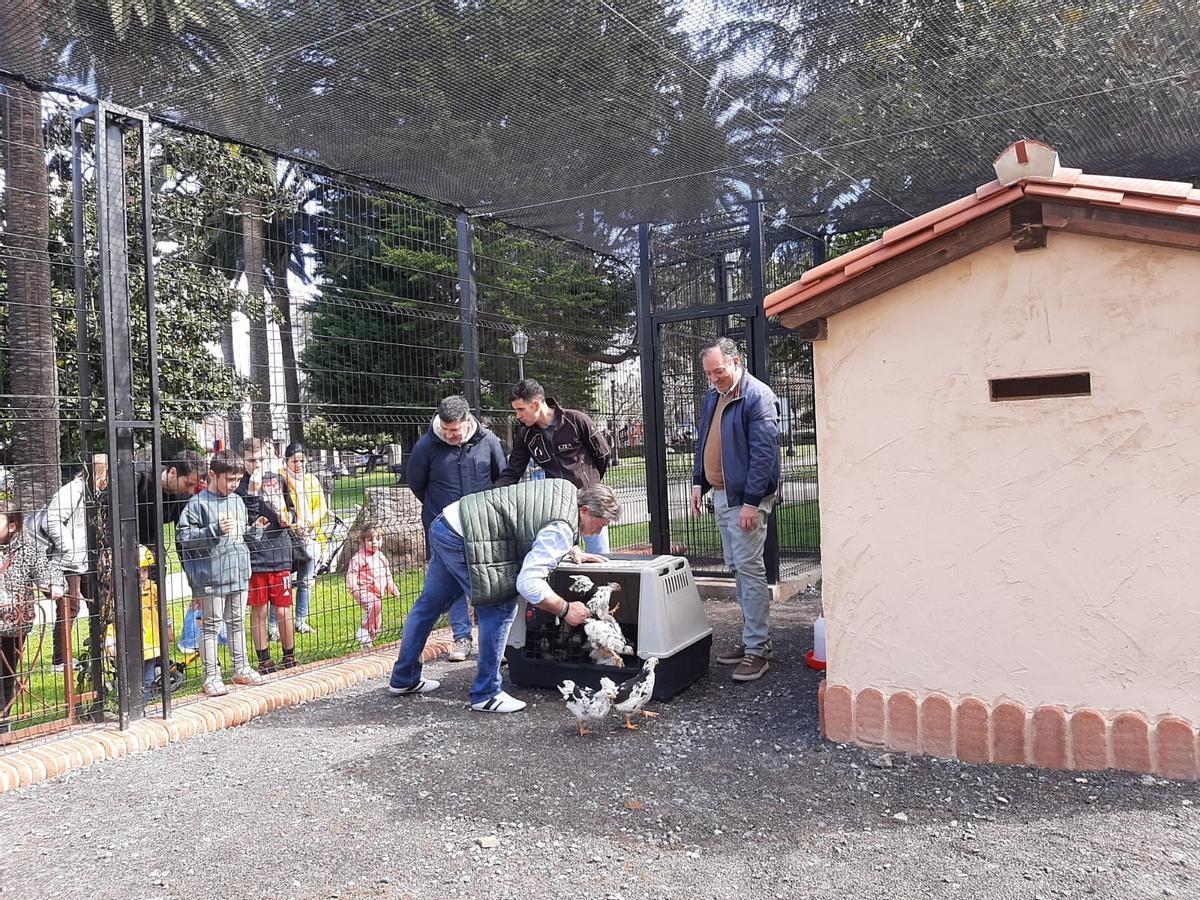 Arturo González y Alejandro Vega, en primer término, soltando las pitas pintas en el aviario de Villaviciosa