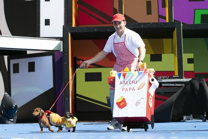 24.02.19. Las Palmas de Gran Canaria. Carnaval 2019. Concurso Carnaval Canino 2019. Daniel Guaraglia, presenta a Bimbo y Lúcas, con la fantasía "Salchipapa" . Foto Quique Curbelo