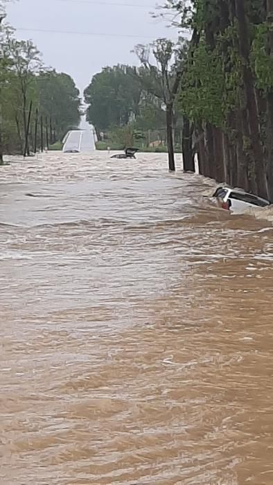 Cotxes atrapats per l'aigua del Ter a Verges