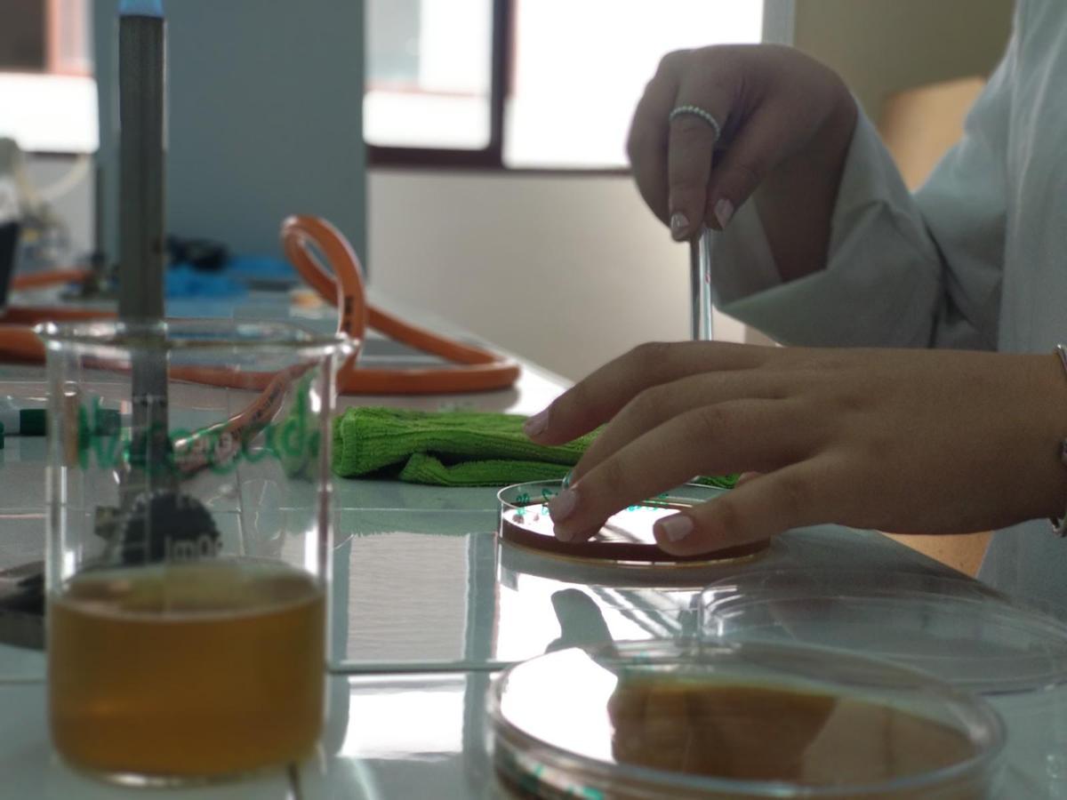 En IES Maimónides los alumnos aprenden a través de la práctica.