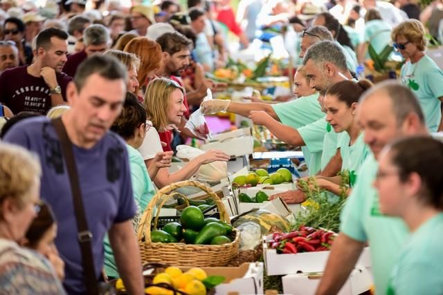 II Feria del Aguacate en Arguineguín