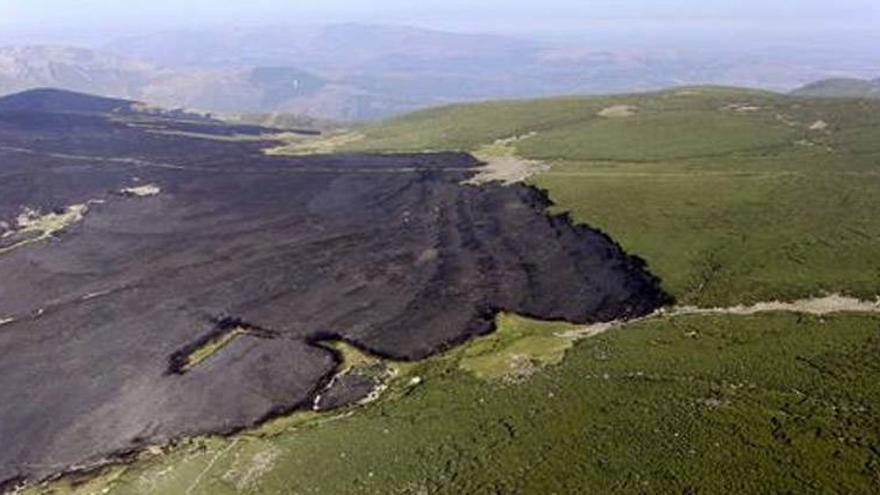 El incendio en la sierra de Gredos que afecta a Cáceres, controlado