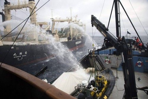 La embarcación japonesa Nisshin Maru dispara cañones de agua al barco Steve Irwin de la organización Sea Shepherd