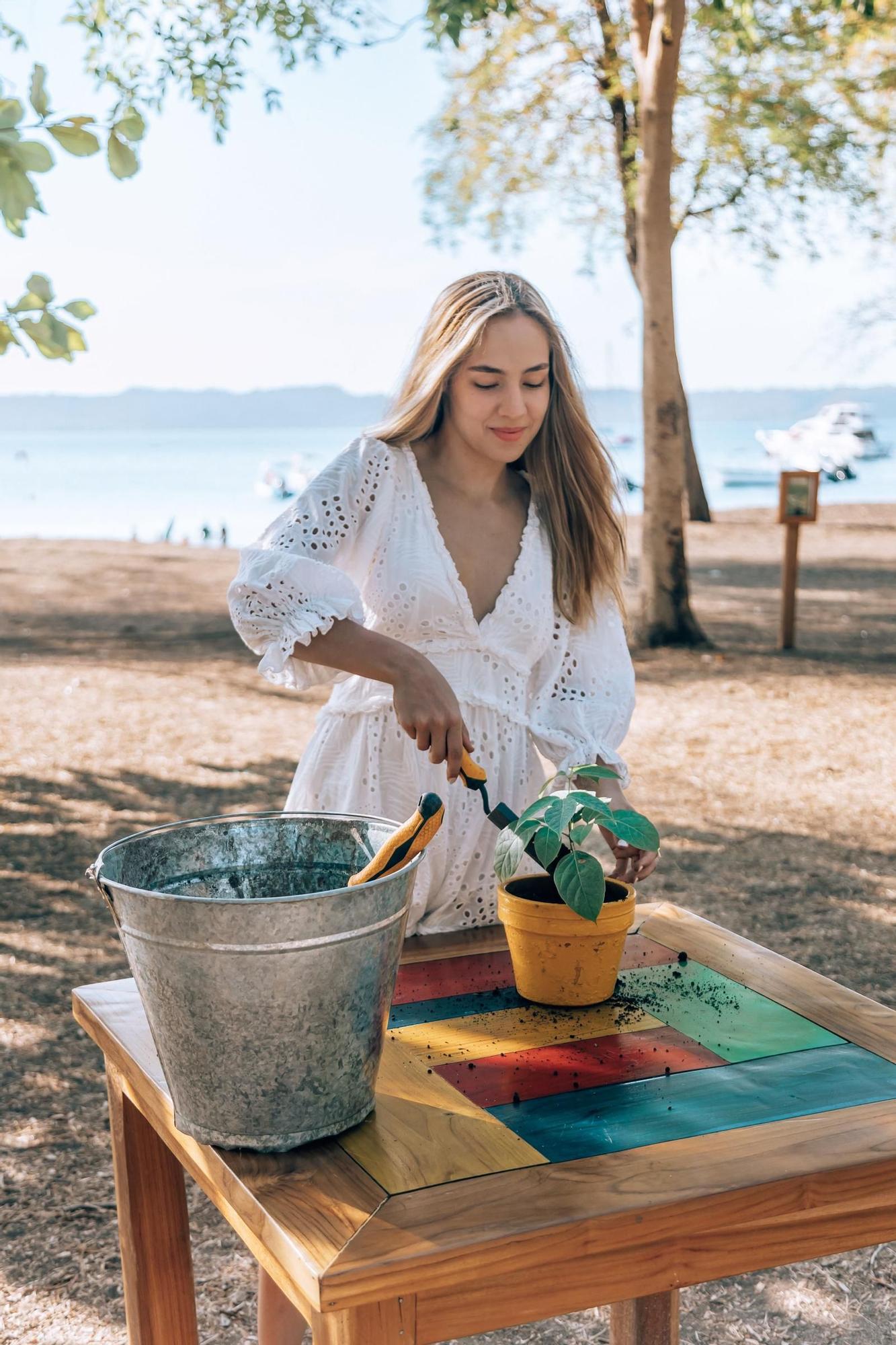 El Mangroove ofrece la oportunidad de devolver a la tierra