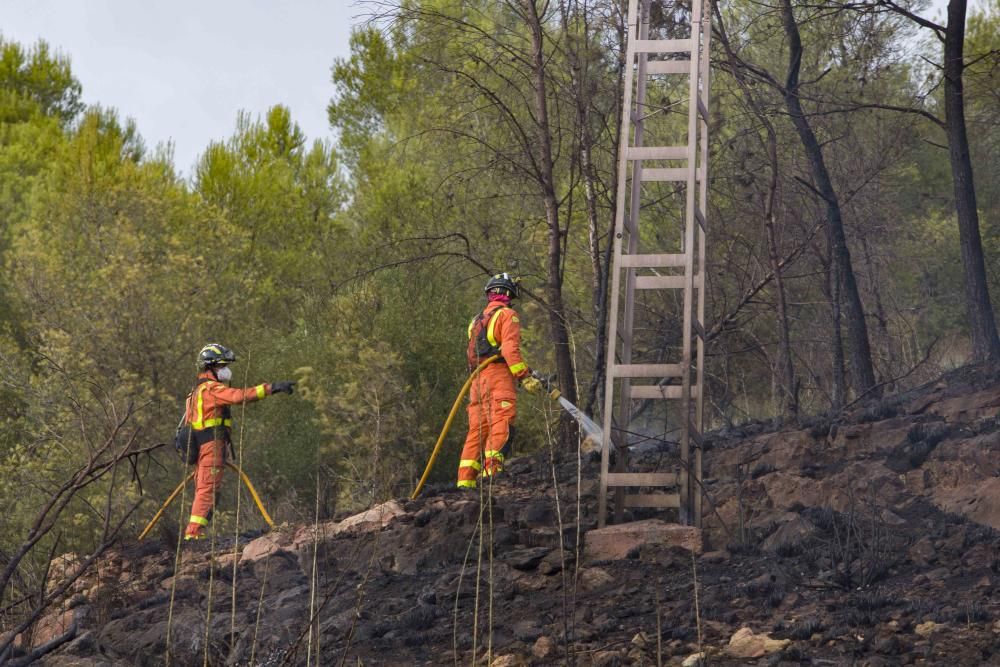 Incendio forestal en la zona el Pi d'Ambrosio de l'Ènova