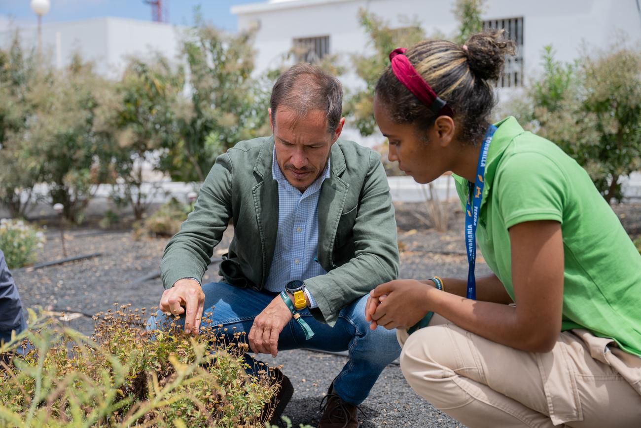 Transición Ecológica premia a los 'Guardianes de Famara' por la restauración ecológica