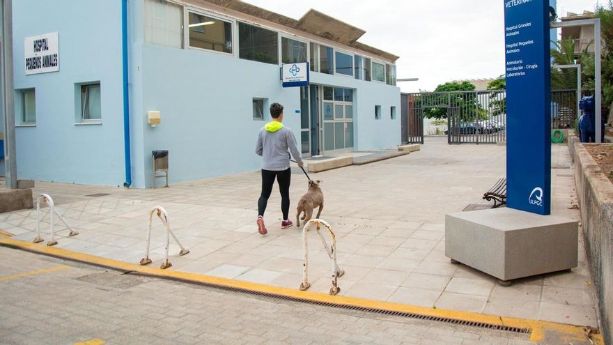 Protesta de alumnos, profesores y trabajadores de la facultad de Veterinaria, en el Rectorado