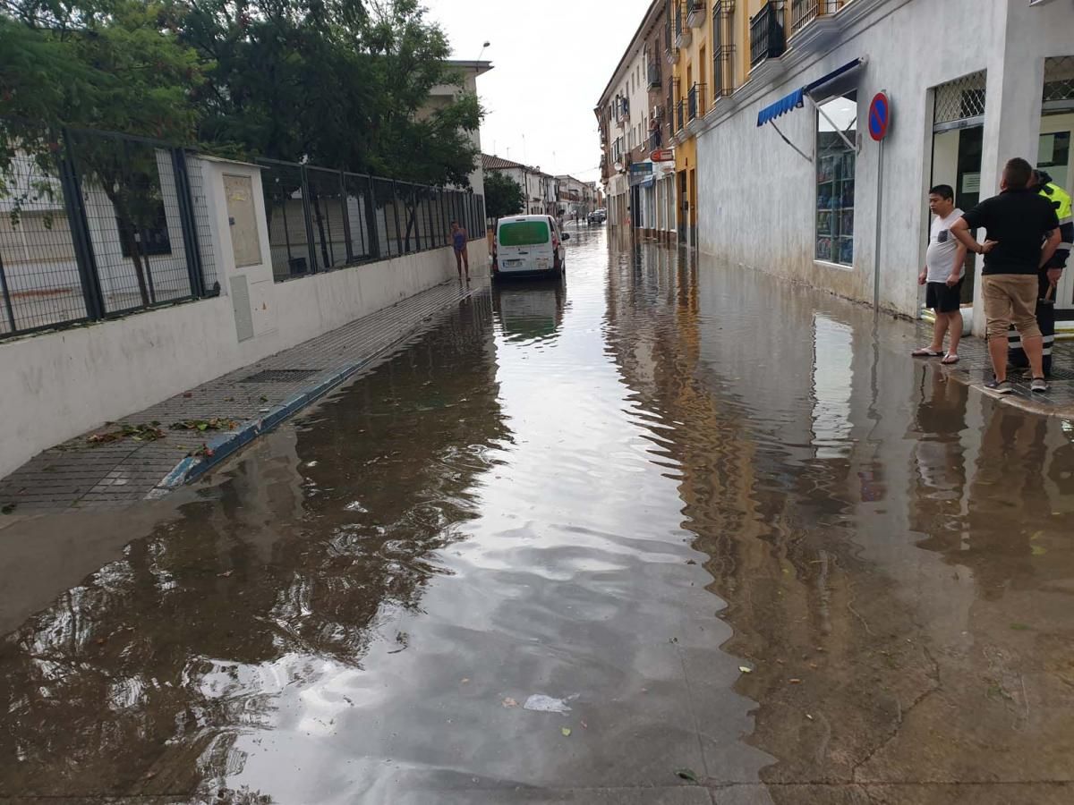 Llegan las primeras lluvias a Córdoba tras 123 días sin llover.