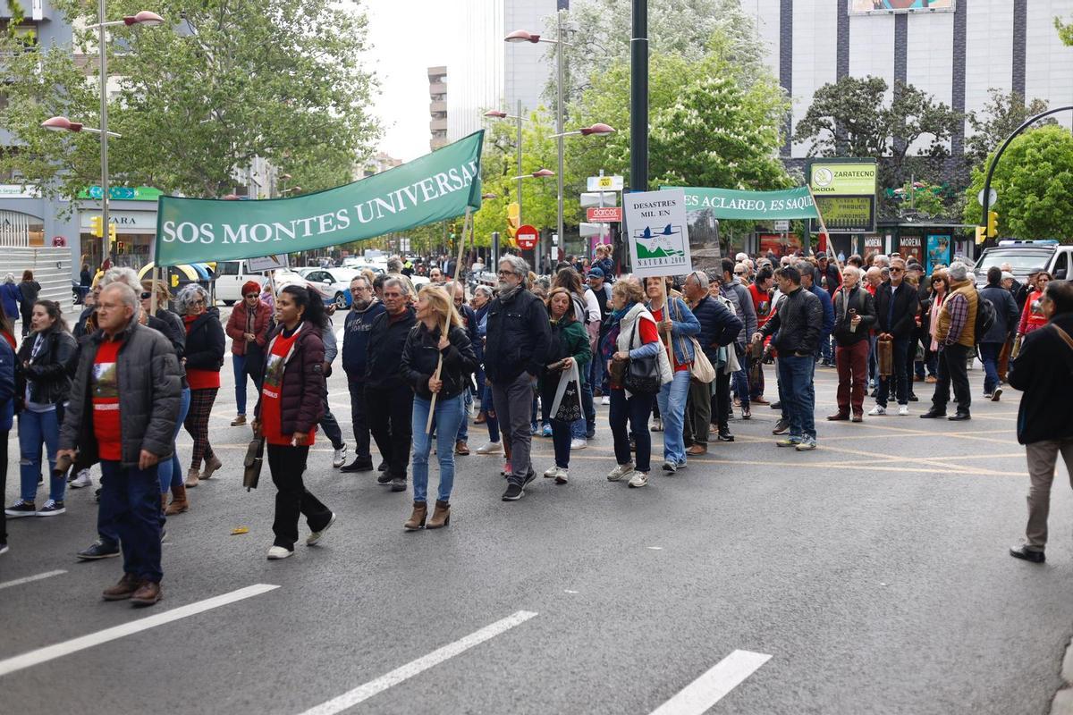 Fotogalería | Manifestación contra la tala masiva de árboles en los ...