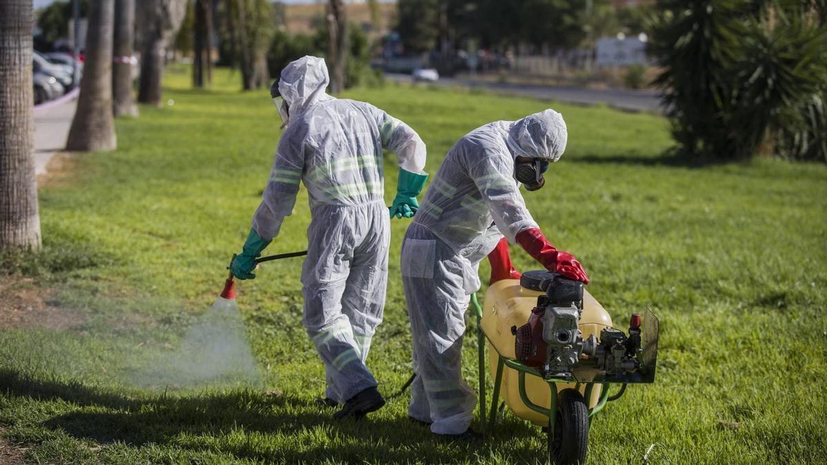 Fumigación contra los mosquitos para impedir la propagación del virus del Nilo.