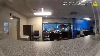 No era un ladrón, era un ciervo