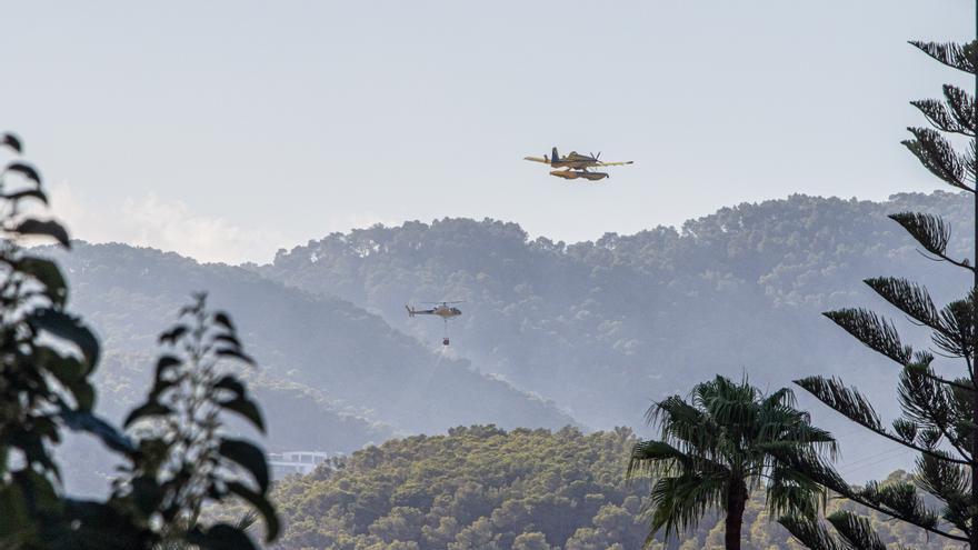 IbizaPreservation pide extremar la prevención de incendios para proteger la biodiversidad de la isla