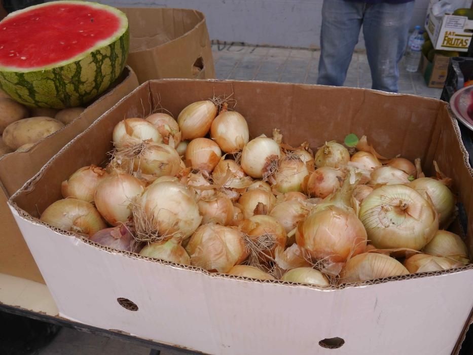 Orgullo de lucha por la huerta del sur