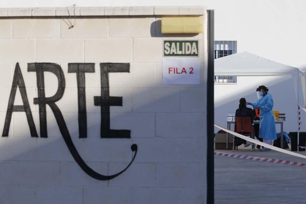 Palma del Río: cribado en busca de positivos