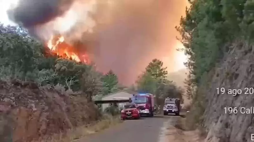 Vídeo | Los bomberos de la Diputación en Cerezal
