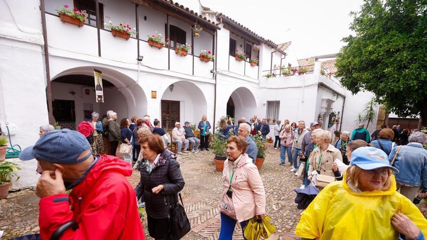 Los Patios de Córdoba 2026 superan las 457.000 visitas en su primera semana