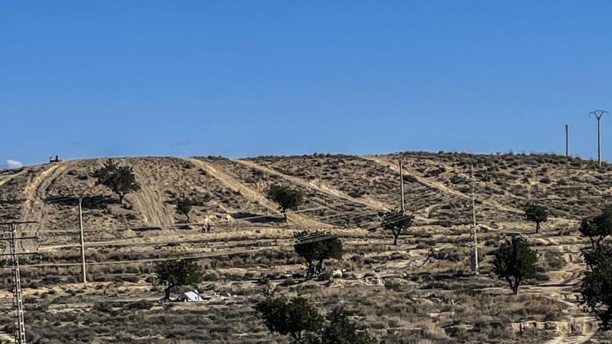 El cierre perimetral del municipio de Alicante los fines de semana multiplica las excursiones familiares a las lagunas de Rabasa