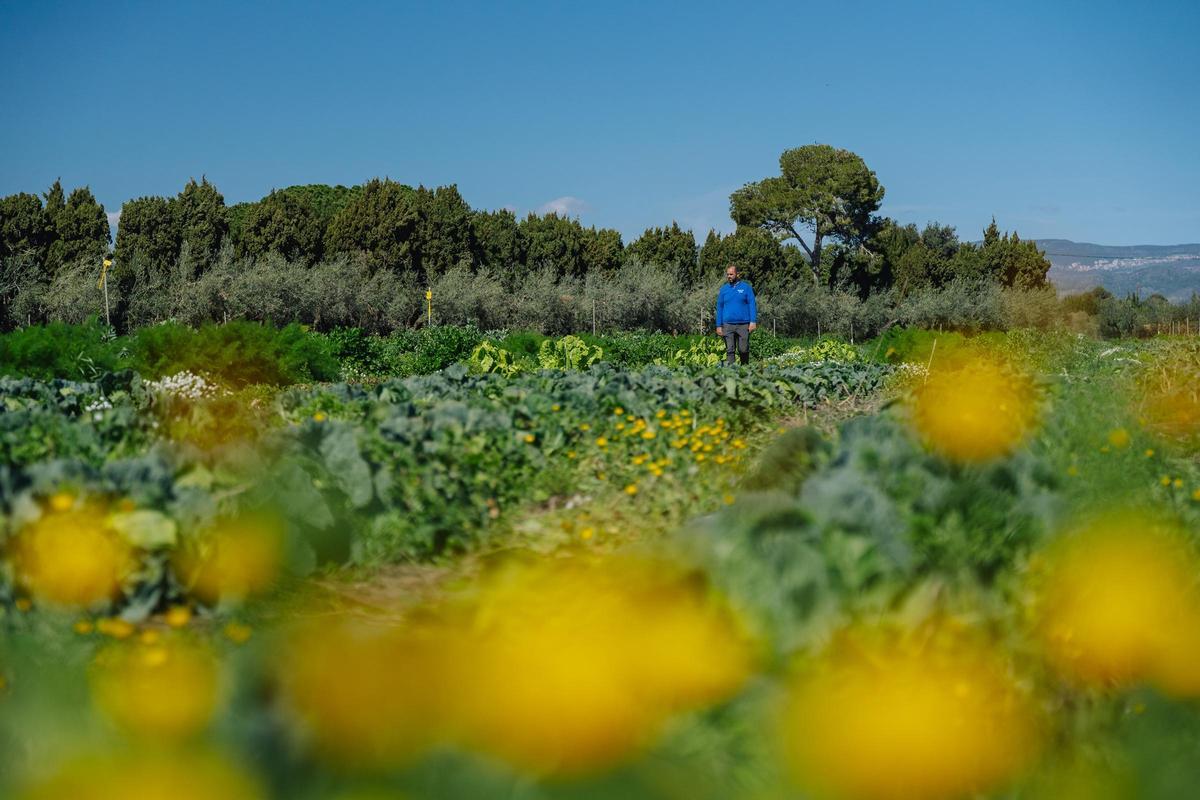 Una de las fincas de este proyecto de agricultura regenerativa