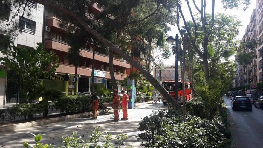 Trabajo de los bomberos.