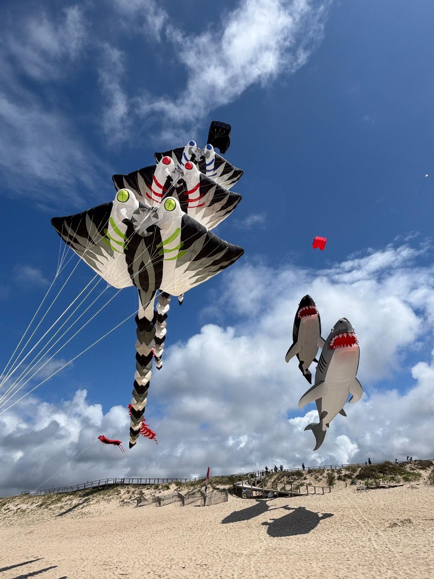 Magia para la vista: el festival de cometas que colorea el aire en Portugal