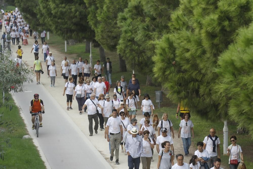 Paseo saludable por el Día Internacional de las Personas Mayores