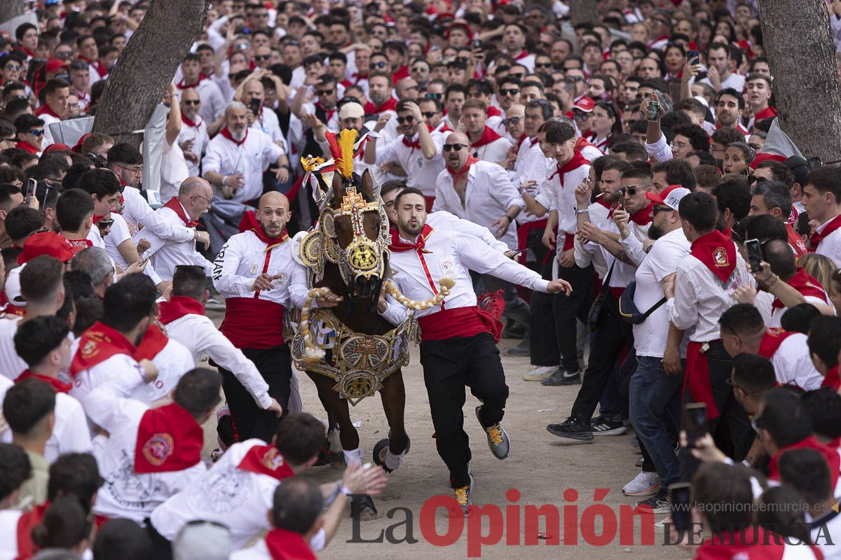 Así se ha vivido la carrera de Los Caballos del Vino en Caravaca