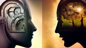 Tenemos dos perspectivas éticas dentro del cerebro, marcadas por nuestra ideología.