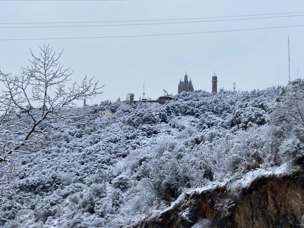 La nieve llega a Barcelona: Collserola, cubierta de blanco