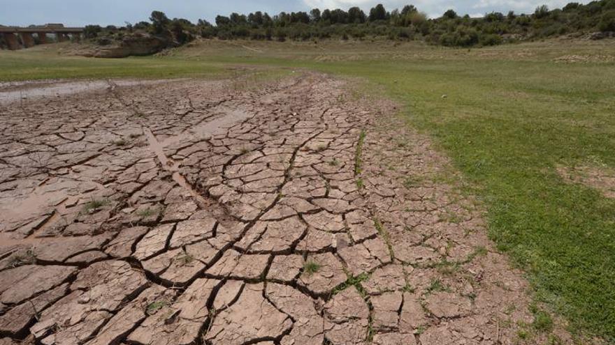 Agricultura revela que todo el territorio de Castellón está en riesgo de desertización